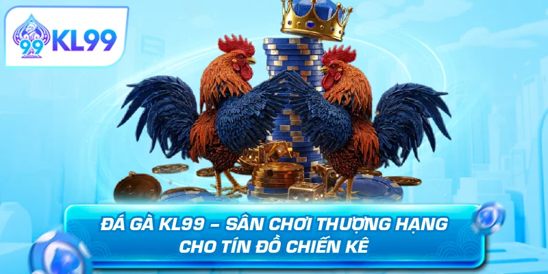 Đá gà KL99 sân chơi thượng hạng cho tín đồ chiến kê