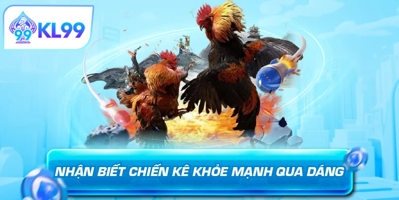 Nhận biết chiến kê về dinh dưỡng