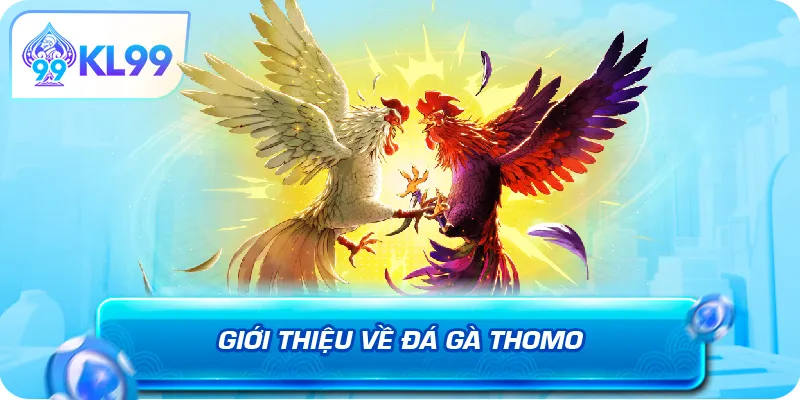 Giới thiệu về đá gà Thomo